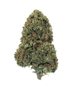 Cannatonic outdoor cbd weed